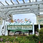 flower fields sign2