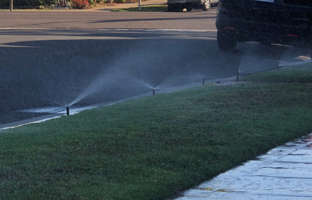 sprinklers watering a lawn