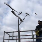 Crossing Paths Kinetic Sculpture Coming to Coronado (video)