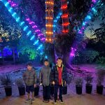 Lightscape boys by colorful tree