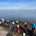 Beach Cleanup_0913