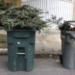 What to do recycling tree in green bin