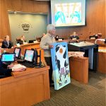 City council suncoast cow game