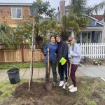 emerlad keepers plant a tree