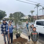 family plant a tree 2023