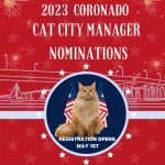 Cat City Manager feature