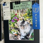 flower show winning photo