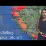 Hurricane Hilary May Bring High Winds and Heavy Rain to Southern California
