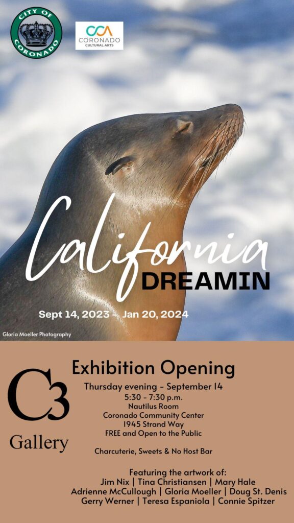 California Dreamin exhibit opening