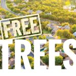 Free Trees