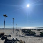 sunny days – Shores Co image