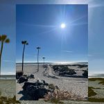 sunny days beach Shores image