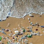 Waves pushing plastic waste to the beach