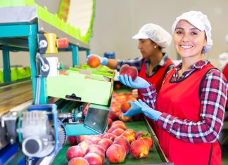 Food Manufacturing Techniques