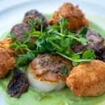 Frenchie Spring Scallop