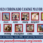 2024 canine mayor