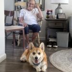 22.Joanne and one of 8 Corgies she had owned