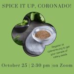 Oct Spice It Up IG