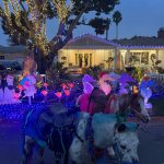 Candy Cane Lane 2024 (10)