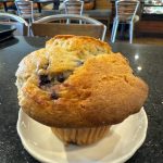 BLUEBERRY MUFFIN VillaNuevaBakery