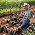 Venegas-Family-Farms-at-the-Farmers-Market