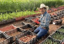 Venegas Family Farms at the Farmers Market