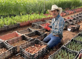 Venegas Family Farms at the Farmers Market