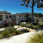 BEST IN SHOW 801 Country Club