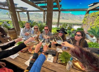 Bridgeworthy: South-of-the-Border Wine Tasting in Guadalupe Valley