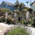 416 10th 2025 winner 2