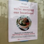 Parakeet Cafe Announcement 2025