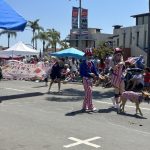 2025-07-04th Parade PAWS