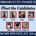 2025 cat city manager catdidates