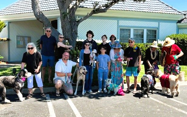 Doggie Duds Dazzle at Cays Canine Fashion Pageant