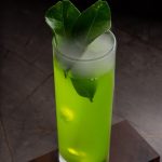 Japanese Slipper Roppongi