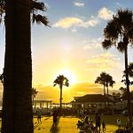 2025-07-25 del sunset Palm Tree silhouette