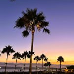 2025-08-02 sunset from the del Palm Trees