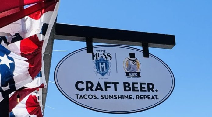 Craft Beer, Tacos, Sunshine, Repeat, A Daddy Day Trip