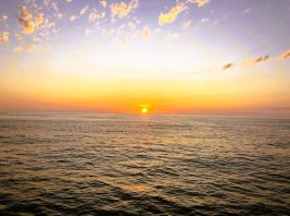 Council opts for measurable, timely projects over Climate Action Plan update