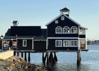 Dining with a view: Shorebird takes flight in San Diego