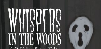 Lights, Camera, Fear! CoSA Digital Arts Conservatory Unleashes Horror Nights