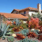 Water-Conscious-Ways-to-Take-Care-of-a-Yard-in-San-Diego