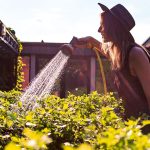 Water-Conscious-Ways-to-Take-Care-of-a-Yard-in-San-Diego-and-Coronado