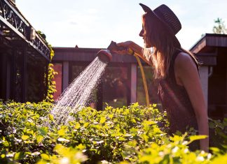 Why San Diego yards deserve more than just sprinklers and sunshine Water Conscious Ways to Take Care of a Yard in San Diego and Coronado