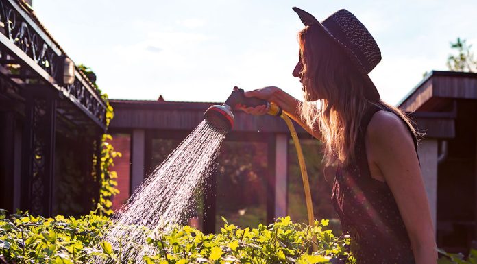 Why San Diego yards deserve more than just sprinklers and sunshine Water Conscious Ways to Take Care of a Yard in San Diego and Coronado