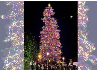 50th annual Coronado holiday parade and tree lighting – the brightest yet