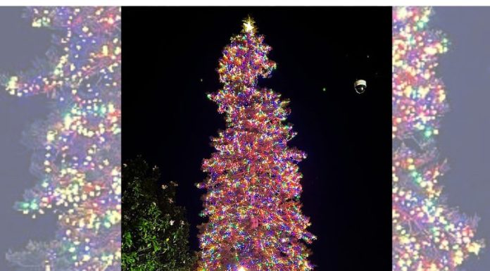 50th annual Coronado holiday parade and tree lighting – the brightest yet