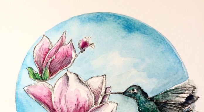 Spring Ink Illustration Workshop Series Cathy Surgeoner Deibler Artwork