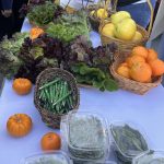 2026-01-31 2026-01-31 suncoast grand opening produce samples