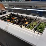 Suncoast salad bar
